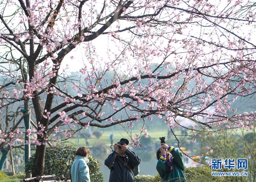 意甲歸納：國米力克恩波利 拉齊奧完勝維羅納