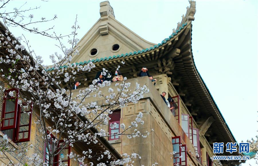 【網曝熱門事件】水頭社區式不斷整合多方資源