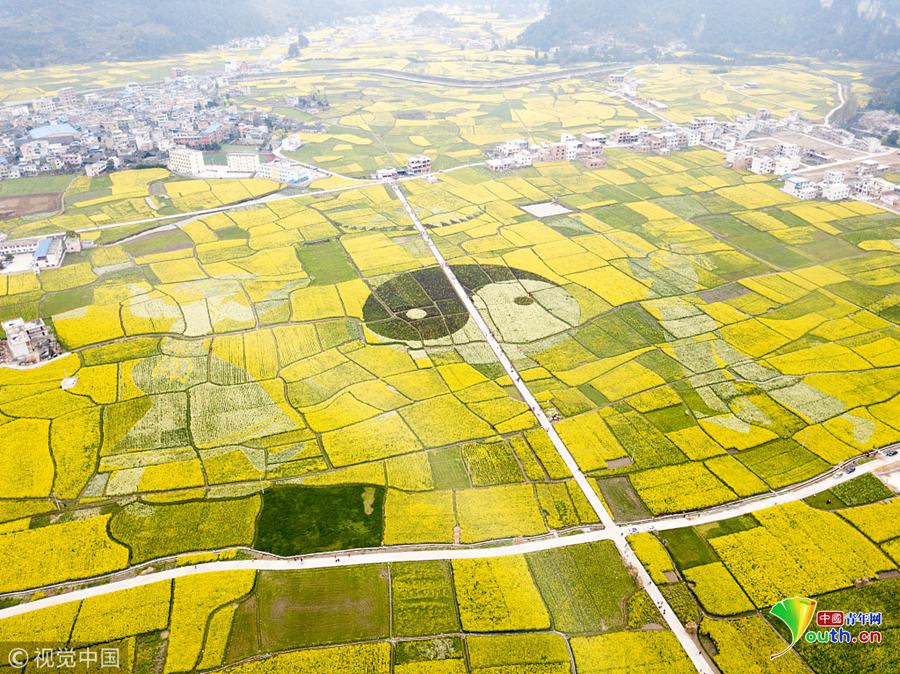 【黑料吃瓜網曝門黑料社51】根、對土壤的要求不高