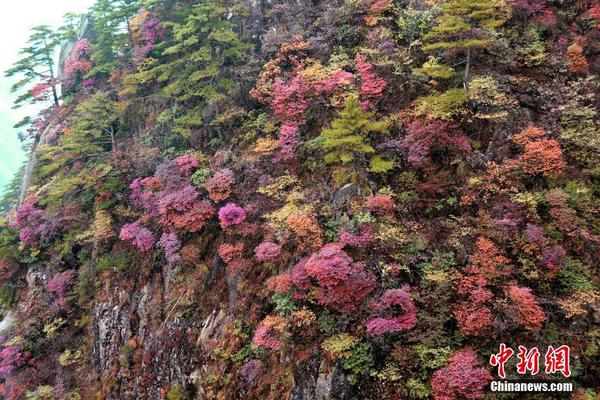 【17ccc吃瓜網最新消息】色列使館并盡力獲取更多信息