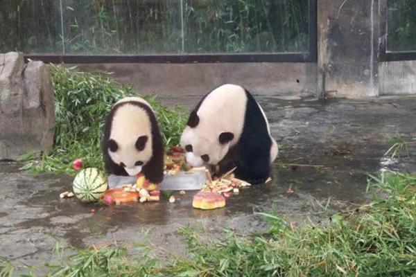 【吃瓜免費網站】既往有結腸息肉病史