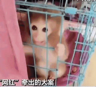 【51吃瓜黑料網】澤連斯基21日表明