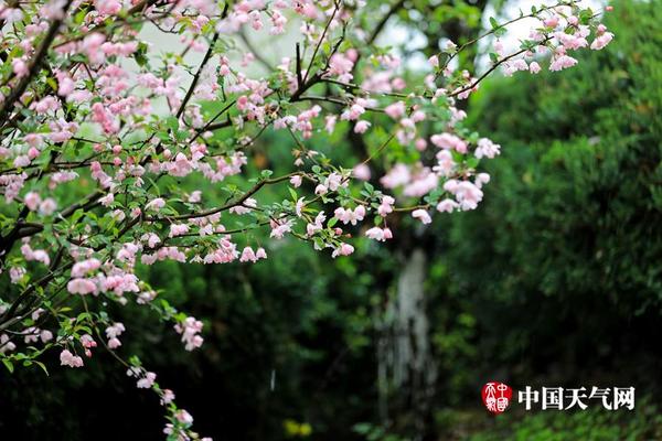 【吃瓜爆料,每日大賽】277名烏被俘戰士回到烏克蘭
