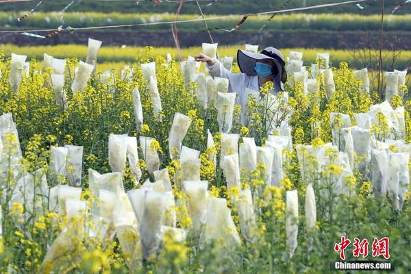 【18???成人免費網站下載】女生吃圣女果有什么好處