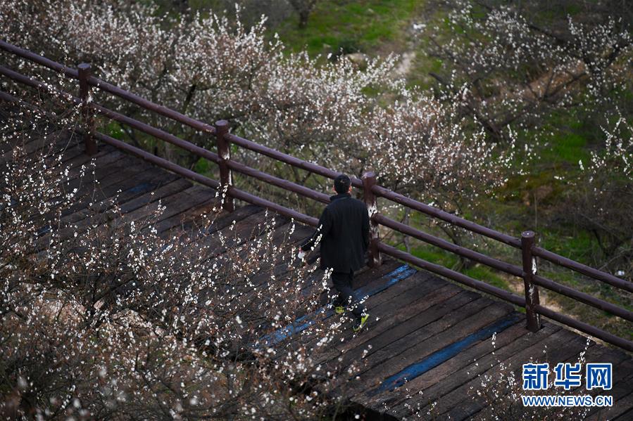 中山市消委會發布新年消費提示