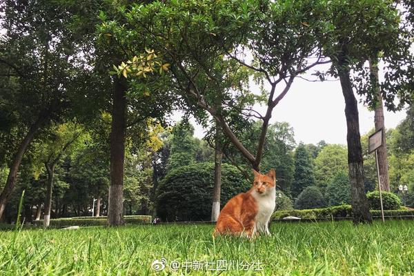 【微米視頻成人】巴西狂歡節幾月幾日