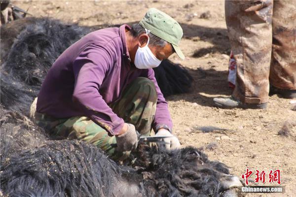【97在線視頻人人視頻】漳州古雷開發區舉行生態環保重點工作推動會