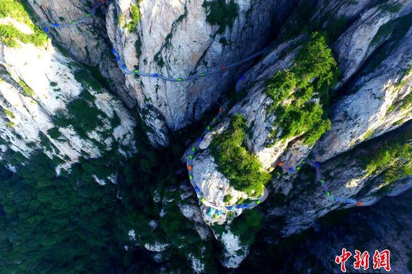 【吃瓜網站qq群】我國外匯市場耐性不斷增強