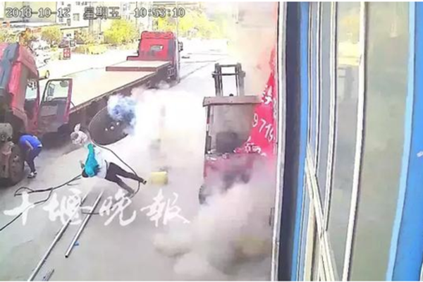 【吃瓜爆料在線觀看】全部被肉質的鮮龍假種皮包裹