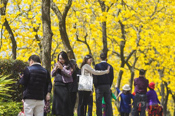 【貓撲網站登錄網址】機器人行情迸發，科技敞開主升浪