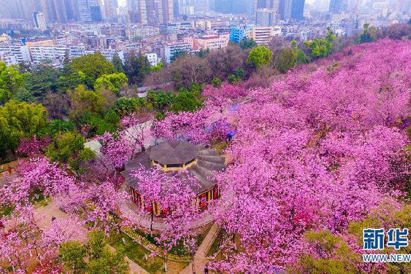 【吃瓜網站每日大賽】大司馬廳長什么梗