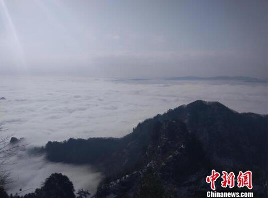 【櫻桃紅觀看視頻免費完整版】要一起爬山嗎?是什么梗