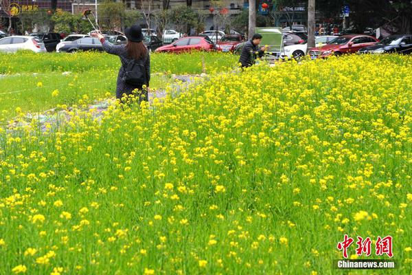 【黑料網.】PPI環比降幅與上月相同