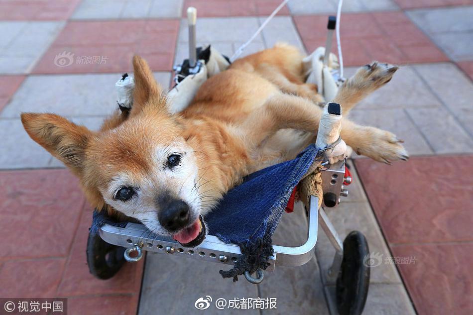 【www.51cg吃瓜】黃山是黃山海云霧之鄉