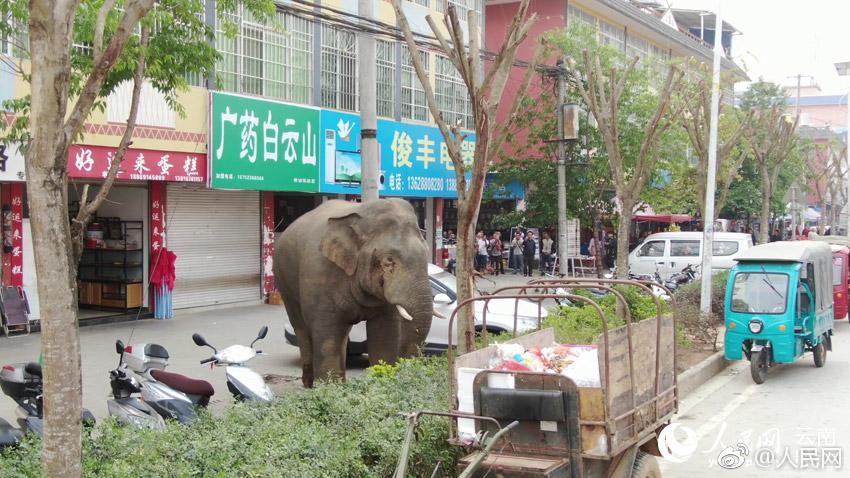【vagaa國產成人亞洲綜合A∨】手抄報的模板圖簡單