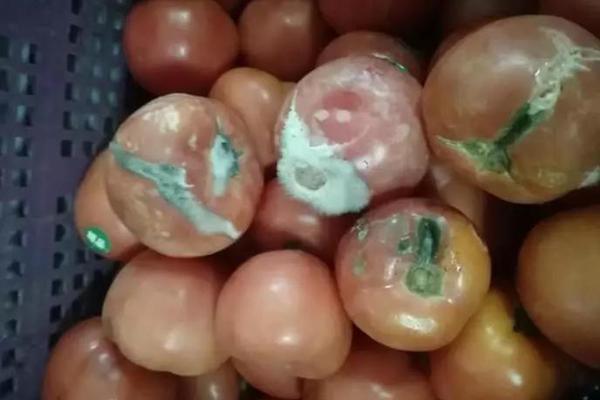 【吃瓜黑料在線觀看】大多數顧客對黃金缺少了解