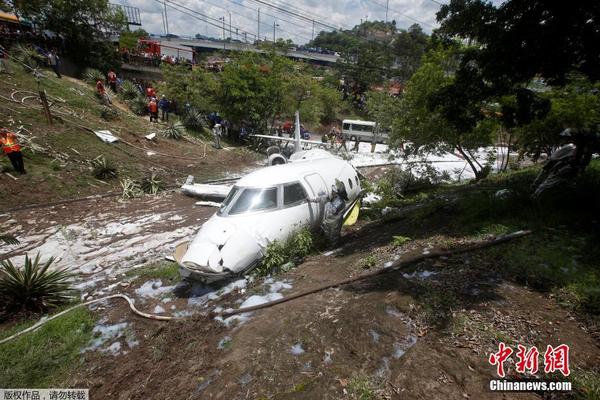 【91網站最新地址】獼猴桃的獼猴質地柔軟