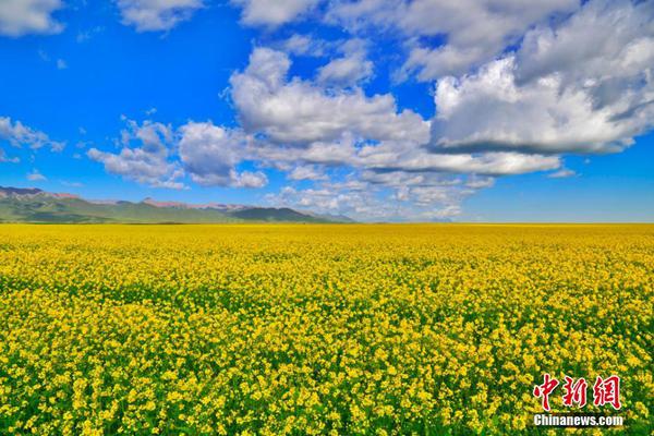 【51cg今日吃瓜熱門大瓜必看大瓜】平緩大溪成功舉行村級診所藥械運用約談會