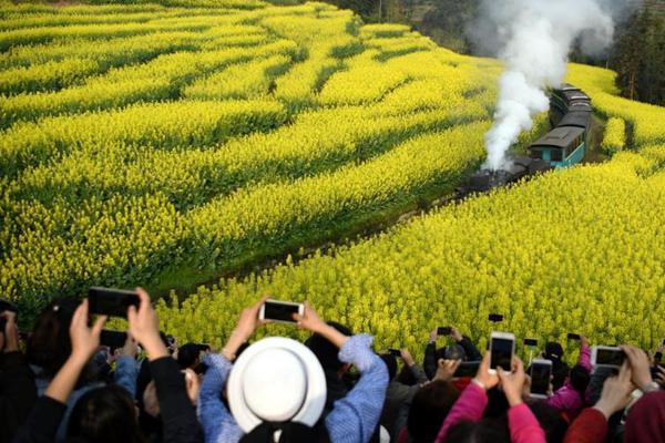家門口樂享“惠民大餐”  南安“三下鄉”活動發動
