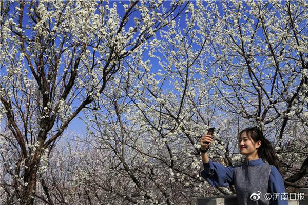 【國產又爽?又黃?免費軟件】核桃仁做菜的菜譜