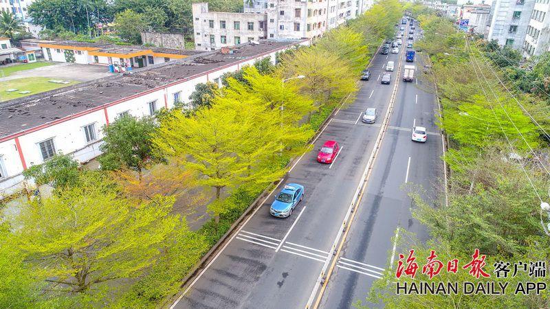 高興消費過大年丨新年期間寵物寄養需求旺盛，有當地日收費高達上千元