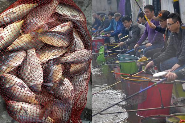 【吃瓜網址有哪些】椰肉放冰箱5天還能吃嗎