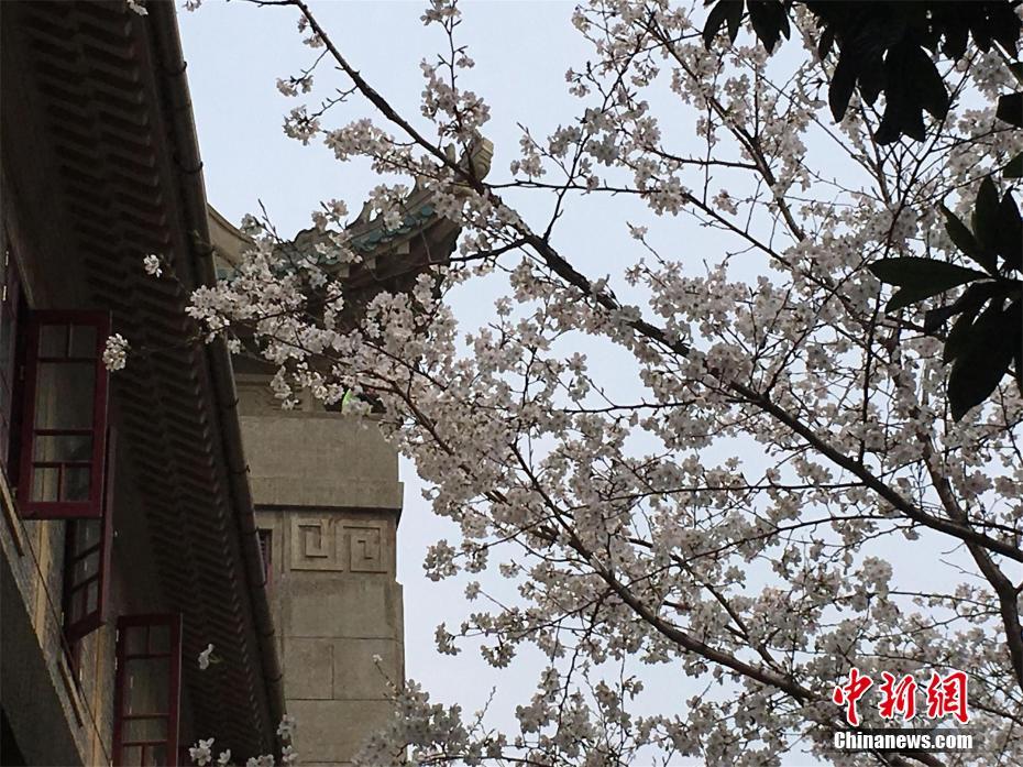 【吃瓜網最新事件爆料】炒包菜絲怎么做好吃