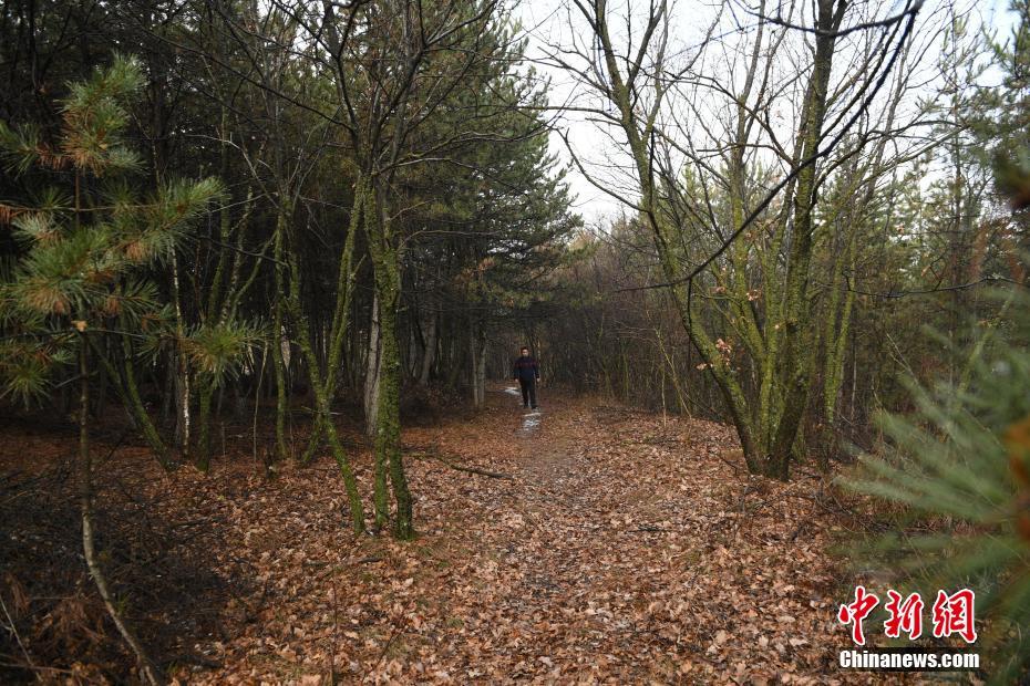【黑料不打烊最新網址】玻璃水凍住了加鹽不能解凍